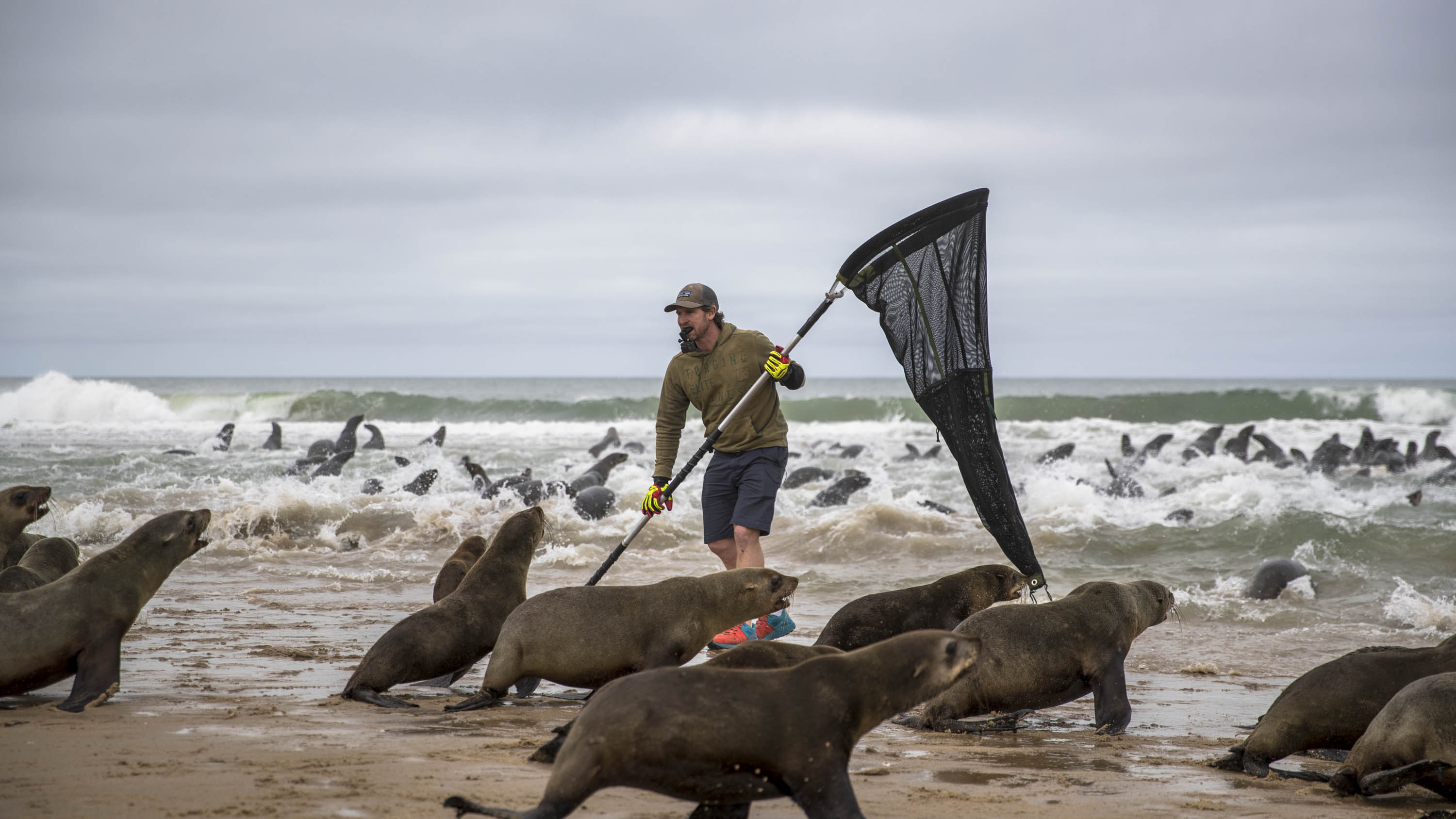 Ocean Conservation Namibia - Heroes of the Sea