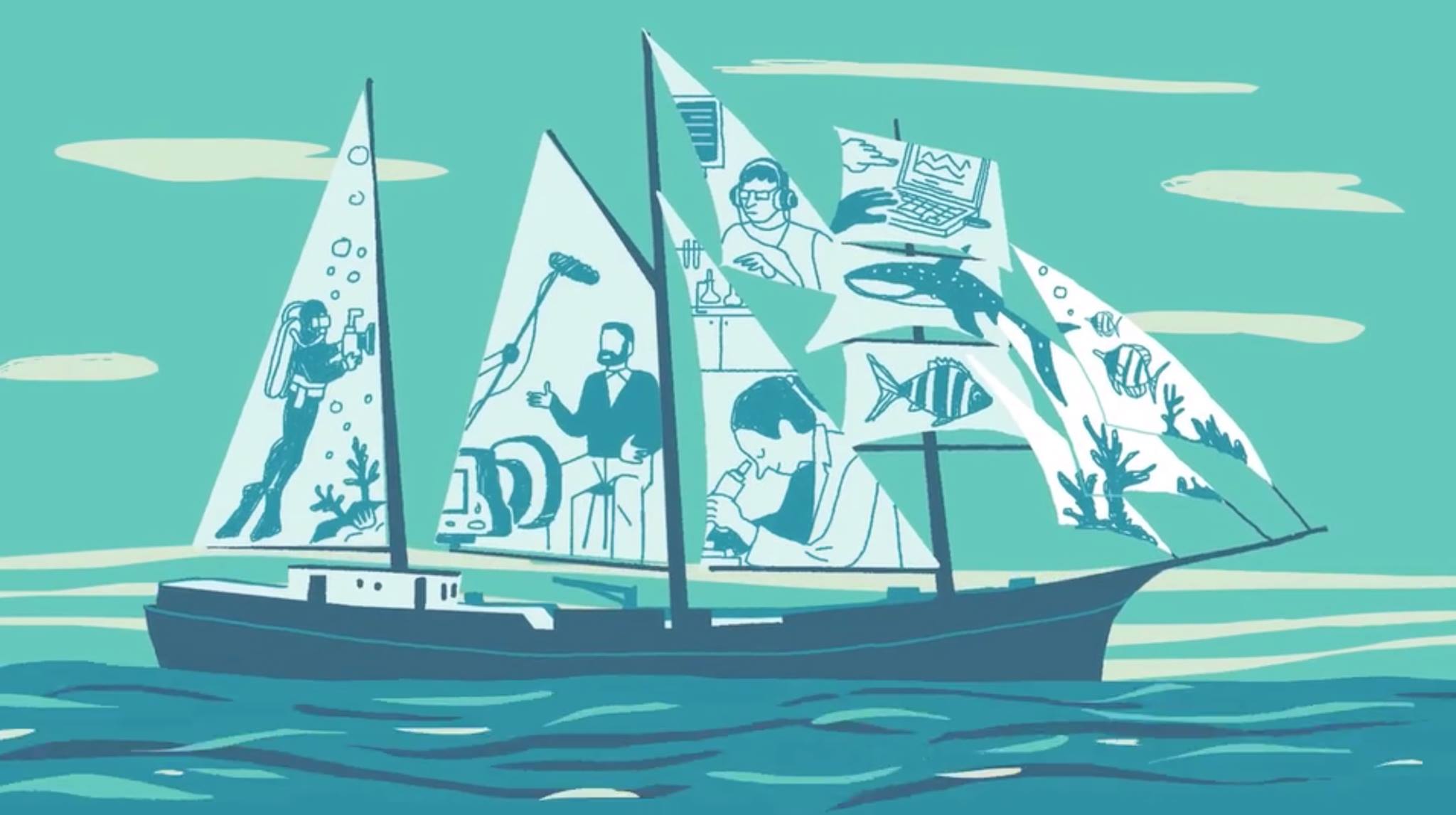 The blue ocean watch store
