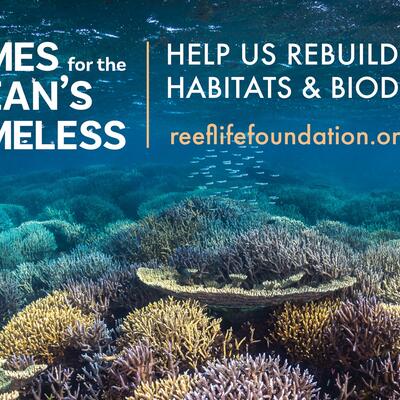 Reef Restoration Foundation - Heroes of the Sea